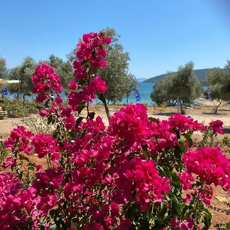 Gokliman Plajli Ozel Holiday home